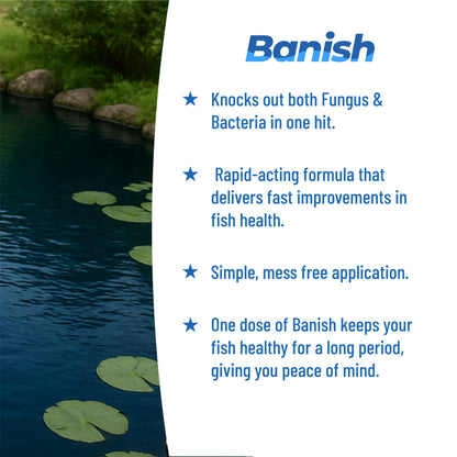 BANISH FUNGUS & BACTERIA POND KOI FISH TREATMENT for DISEASE INFECTION MEDICINE