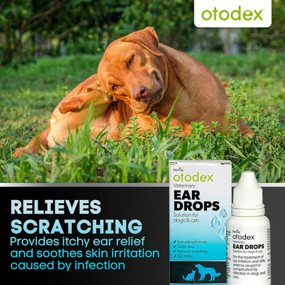 Petlife Otodex Cats Dog Ear Infection Drops Fast Acting 14Ml Clears Wax Mites Uk