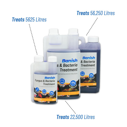 BANISH FUNGUS & BACTERIA POND KOI FISH TREATMENT for DISEASE INFECTION MEDICINE