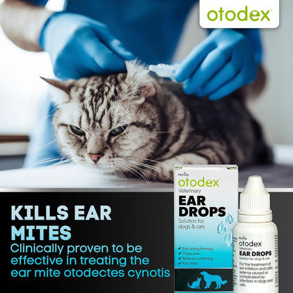 Petlife Otodex Cats Dog Ear Infection Drops Fast Acting 14Ml Clears Wax Mites Uk